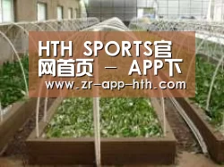环境展示五