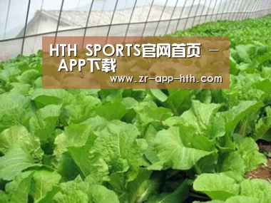 种植基地一
