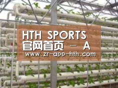 环境展示六