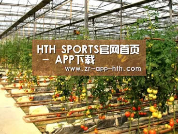 种植基地二(图1)