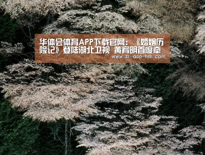 华体会体育